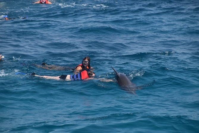 Dolphin House and Banana Boat Fun from Hurghada - Why Dolphin House is the main event from Hurghada