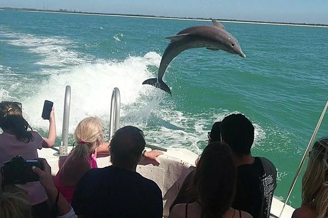 Dolphin House By Private Speed Boat & Drinks & Transfer-Hurghada - Dolphin House swim: what you are really paying for
