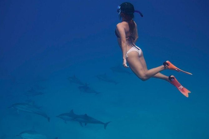 Dolphin House Royal VIP Special Day Snorkeling Sea Trip With Lunch - Hurghada - Cruising out: the Red Sea boat ride you’ll actually enjoy