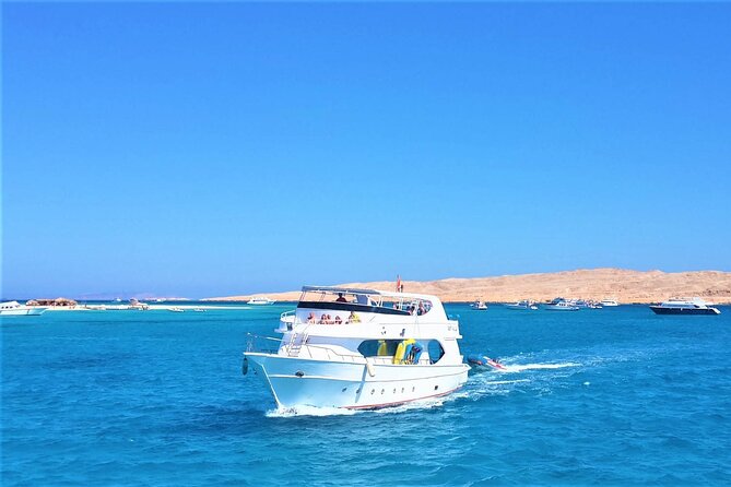 Dolphin House Snorkel & Water Fun Activity with Lunch - Hurghada - Price and value in real terms: $4.75 plus the park fee