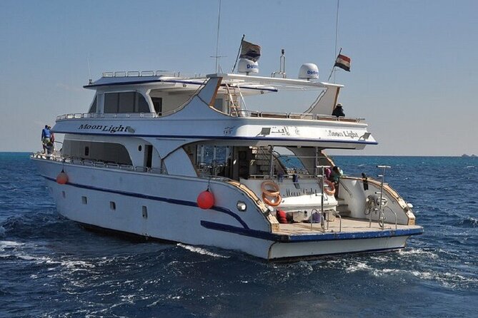 Dolphin House Snorkeling Sea Trip, Water Sport , Lunch - Hurghada - Getting to the water: the 8-hour day and what to plan for