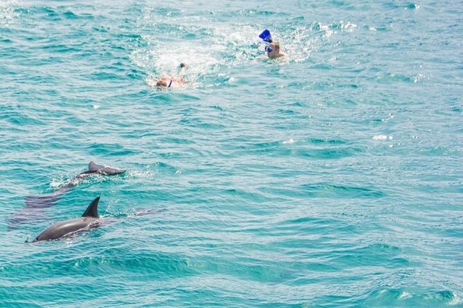 Dolphin House Snorkeling Trip + Water Sport With Lunch - Hurghada - The second guided reef snorkeling stop with coral