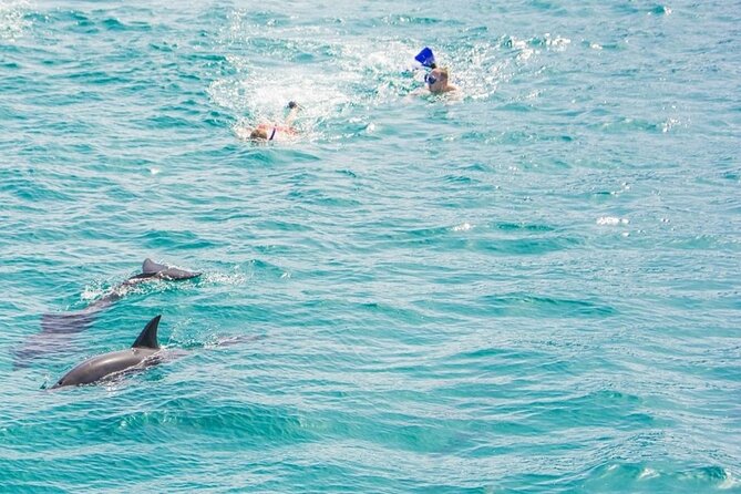 Dolphin House Snorkeling,Water Sports, Lunch & Transfer- Hurghada - Speed-Boat Water Sports: Fun Add-On With One Big Trade-Off