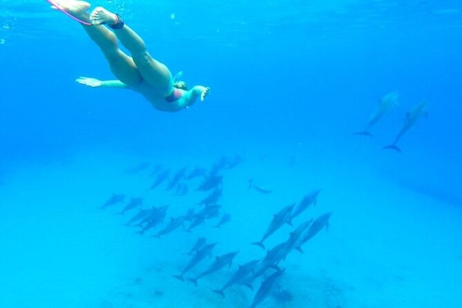 Dolphin House Snorkeling,Water Sports, Lunch & Transfer- Hurghada - Boat Transfer and Timing: Your 8 Hours on the Water