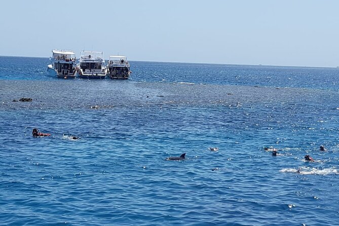 Dolphin Tour Banana Boat from Soma /Sahl Hasheesh/makadi/Safaga - Timing and the 8-Hour Reality: Active Day, Not a Hurry-Up Sprint