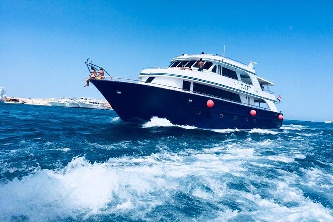 Dolphin Tour in Hurghada - Transfers in Hurghada: convenient, with a small catch