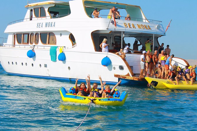 Dolphin Tour in Hurghada - Dolphin time at Dolphin House: your real expectations