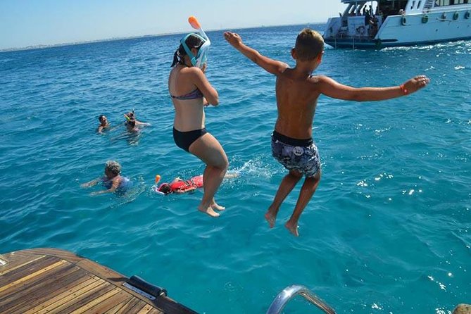 Dolphin Tour in Hurghada - The day’s timeline: pickup to return, and how to plan your morning