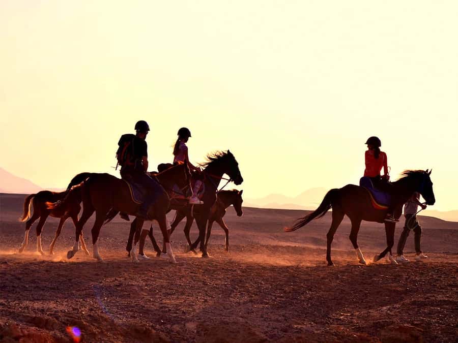 El Gouna: Desert & Sea Horse Riding With Swimming Optional - Key things that make this horse ride worth your time