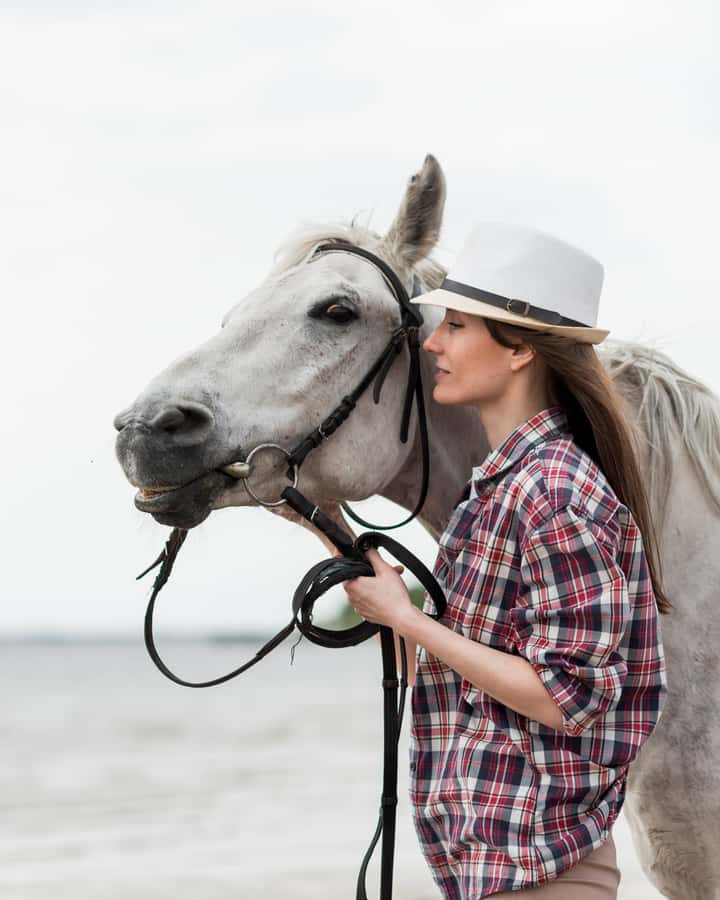 El Gouna: Desert & Sea Horse Riding With Swimming Optional - Who This Horse Ride Works For, and Who Should Skip It