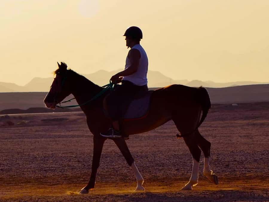 El Gouna: Desert & Sea Horse Riding With Swimming Optional - Where the Desert Ride Starts, Safety First