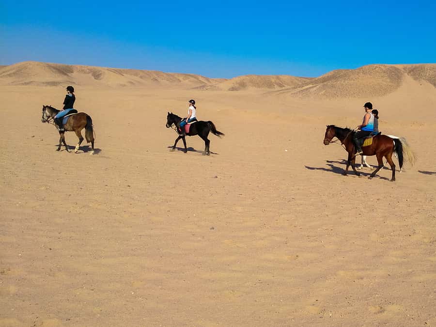 El Gouna: Desert & Sea Horse Riding With Swimming Optional - What You Learn About Grooming, Washing, and Feeding Your Horse