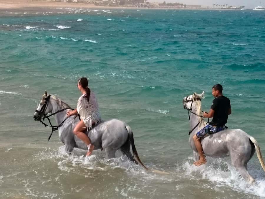 El Gouna: Desert & Sea Horse Riding With Swimming Optional - VIP Swim Stop With Your Horse in the Red Sea