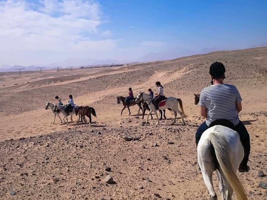 El Gouna: Desert & Sea Horse Riding With Swimming Optional - Transfers and Travel Times From El Gouna, Hurghada, and Beyond