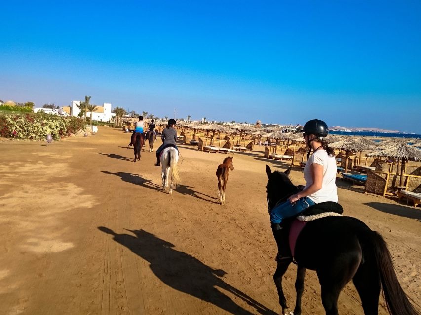 El Gouna: Desert & Sea Horse Riding With Swimming Optional - Price of Around $26, and What You Actually Get