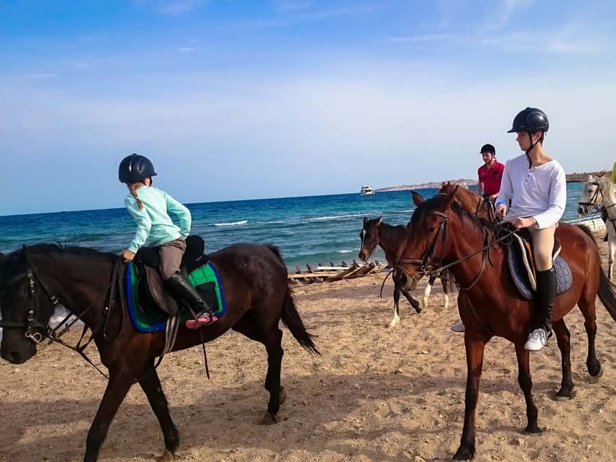 El Gouna: Desert & Sea Horse Riding With Swimming Optional - Packing Checklist and Rules That Matter