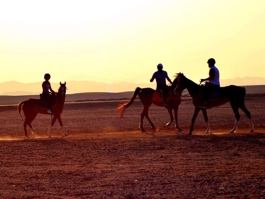 El Gouna: Desert & Sea Horse Riding With Swimming Optional - Riding Over Sandy Valleys and Toward the Red Sea