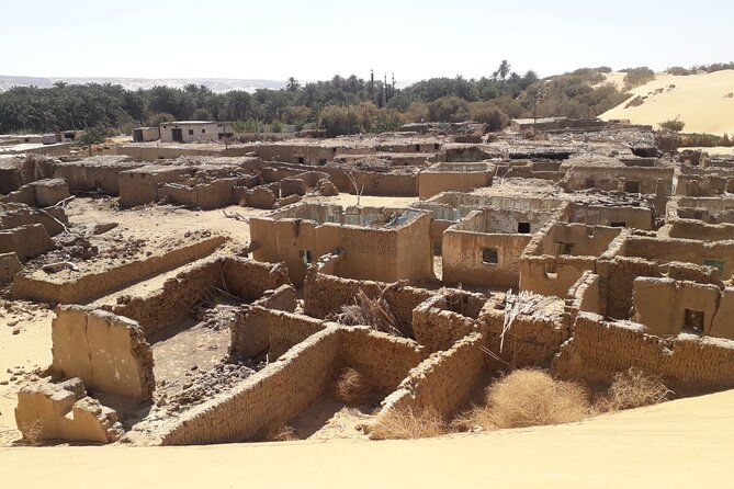 Enjoy safari The black and white desert two night 3 days - Camp life, meals, and why the Bedouin guide changes everything