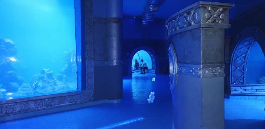 Entry Ticket: Grand Aquarium Hurgada - Key Highlights You Should Know Before You Go