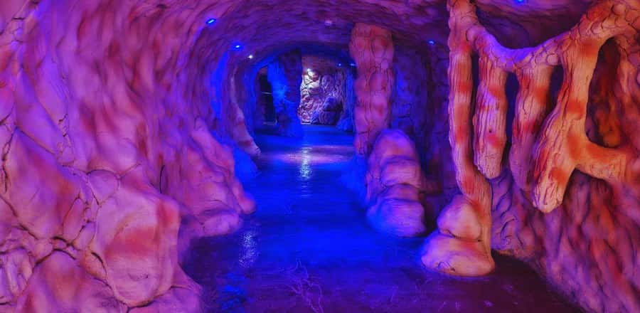 Entry Ticket: Grand Aquarium Hurgada - Rainforest Exhibit: Birds, Reptiles, and Sound Effects That Change the Pace