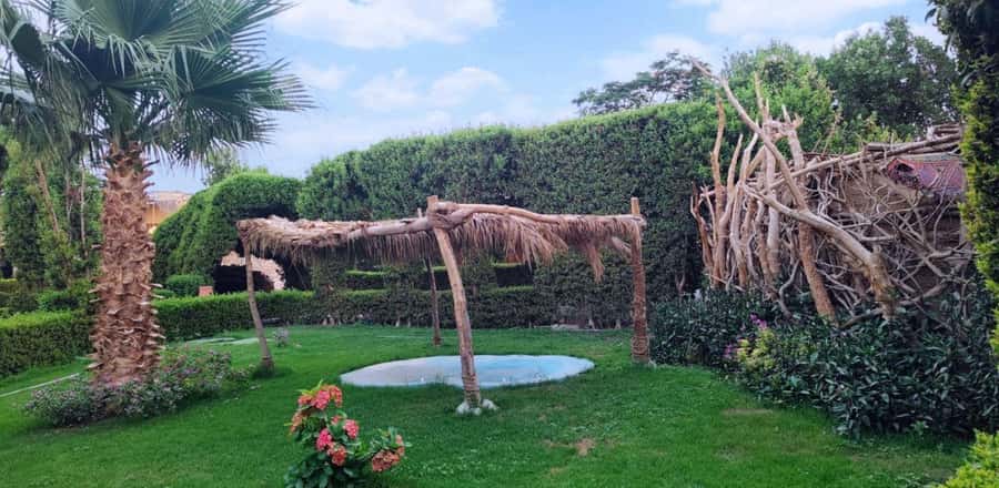 Entry Ticket: Grand Aquarium Hurgada - Rope Bridge Views, Mini Zoo Encounters, and the Touch Pool Moment