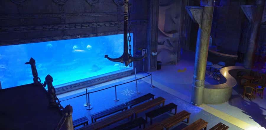 Entry Ticket: Grand Aquarium Hurgada - The 24-Meter Underwater Tunnel and the Views That Make It Worth It
