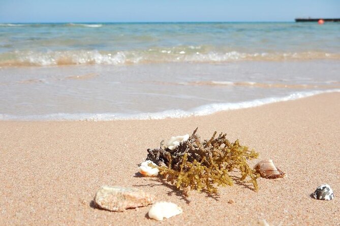 Excursion to the White Island & Ras Mohammed National Park from Sharm El Sheikh - White Island: How the Invisible Island Works