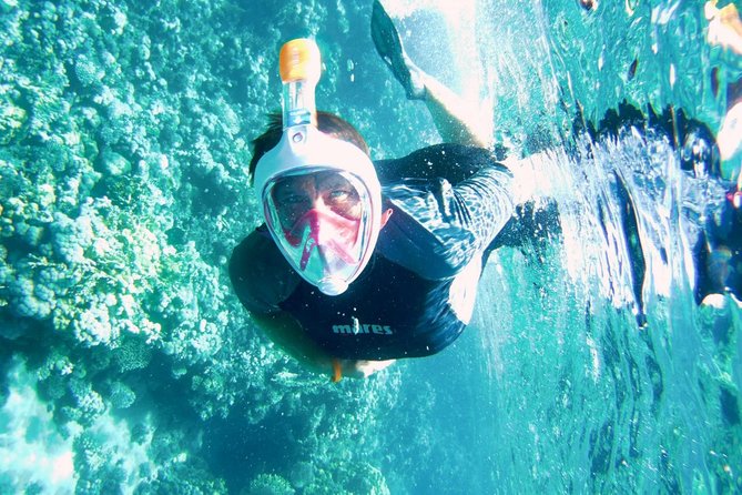 Excursion to Tiran Island by boat - From Sharm el Sheikh to the port: getting set for a full day