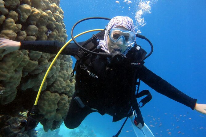 Excursion to Tiran Island by boat - Cost and value: is $31.40 a smart buy?