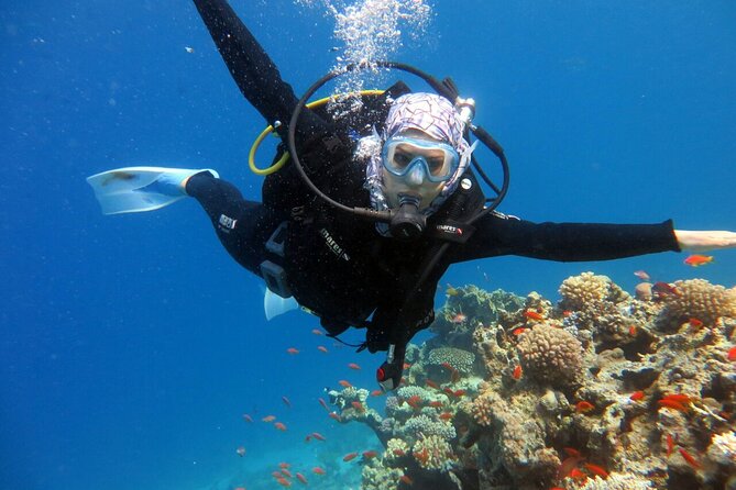 Excursion to Tiran Island by boat - Who should book this trip, and who should think twice