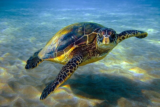 Explore Hurghada: Semi-Submarine Tour & Snorkeling – Hurghada - Boat Comfort, Cleanliness, and the Crowd Question