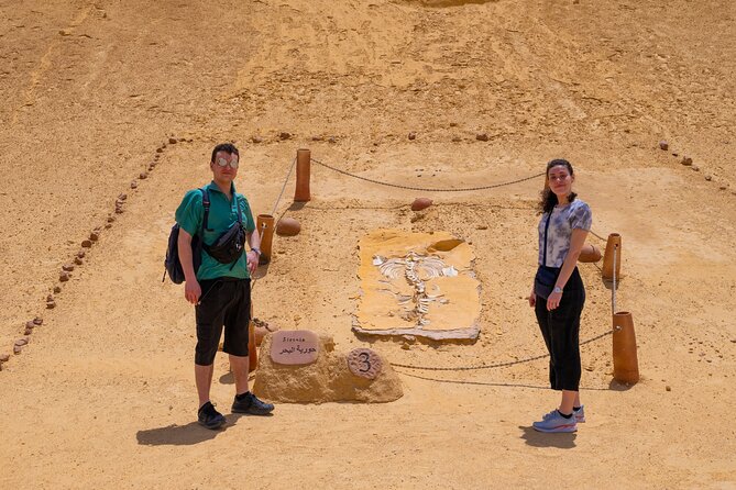 Fayoum Oasis Adventure 4WD Desert Safari with Traditional Lunch - Fayoum in one long day from Cairo