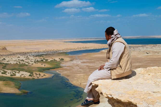 Fayoum Oasis Adventure 4WD Desert Safari with Traditional Lunch - Valley of the Whales (Wadi Al-Hitan) UNESCO fossil sights