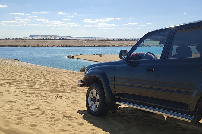 Fayoum Oasis Tour Hidden Gem Wadi El Rayan & Valley of the Whales - Timing and How the Day Flows