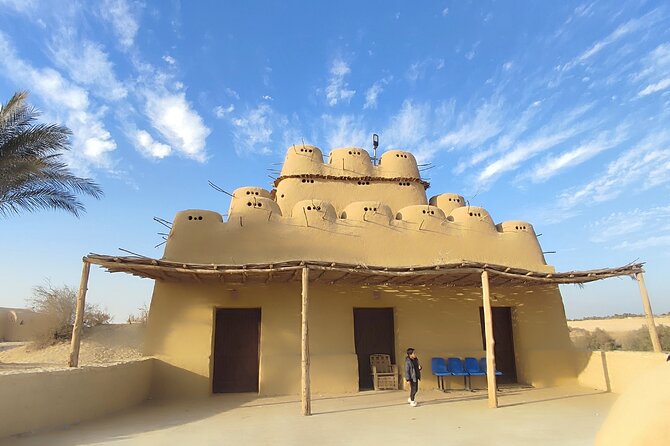 Fayoum Oasis Tour Hidden Gem Wadi El Rayan & Valley of the Whales - Lunch in the Desert, and Why It’s Part of the Value