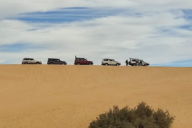 Fayoum Oasis Tour Hidden Gem Wadi El Rayan & Valley of the Whales - Price and Value: What You’re Really Paying For at $130