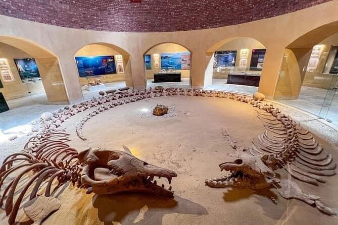 Fayoum Oasis Tour Hidden Gem Wadi El Rayan & Valley of the Whales - Valley of the Whales, Wadi Al-Hitan: Fossils That Tell a Planet-Scale Story