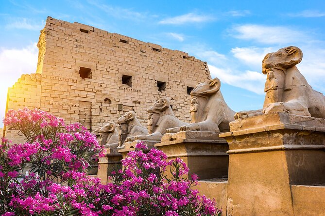 First impression of Luxor-Explore secrets of Luxor by horse carriage - Who this tour suits best