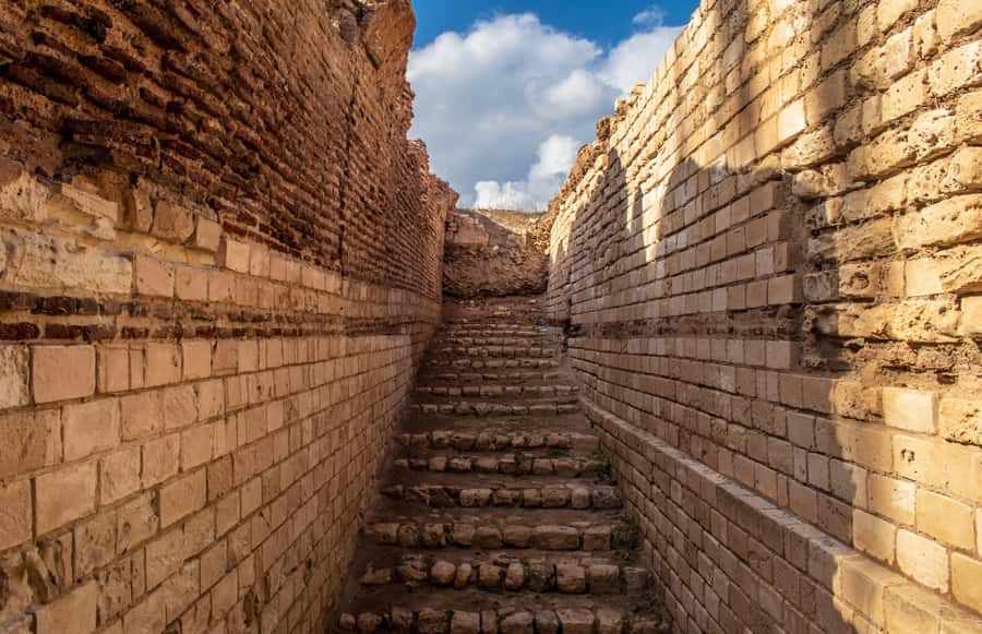 From Alexandria: Highlights of Alexandria Full City Tour - Key highlights to know before you go