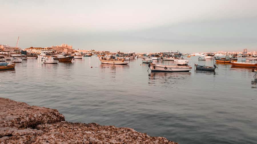 From Alexandria: Highlights of Alexandria Full City Tour - Qaitbay Fort: fortress views with a lighthouse connection