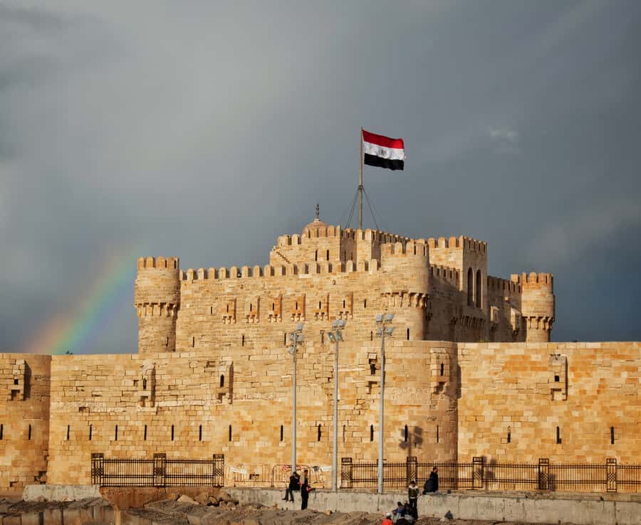 From Alexandria: Highlights of Alexandria Full City Tour - The biggest mosque stop, then the day’s wrap-up