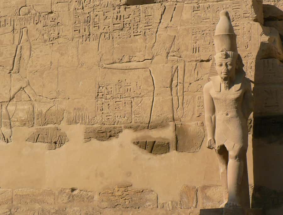 From Cairo: 5-Day Tour with Nile Cruise, Balloon, & Flights - Abu Simbel by early car ride, then Kom Ombo’s dual-temple stop
