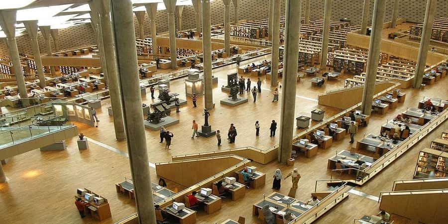 From Cairo: Alexandria Private Day Tour with Guide and Lunch - Who Should Book This Alexandria Day Trip