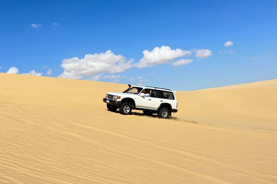 From Cairo: Desert Safari, Camel Ride, Magic Lake, & Lunch - Key things to look forward to