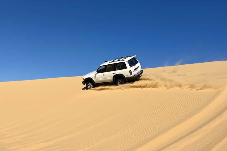 From Cairo: Desert Safari, Camel Ride, Magic Lake, & Lunch - Magic Lake in Fayoum: color changes and a chance to swim