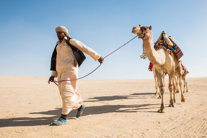 From Cairo: Desert Safari, Waterfalls, Sand boarding and Camel ride with Lunch - Entering Wadi El Rayan: waterfalls meet desert dunes
