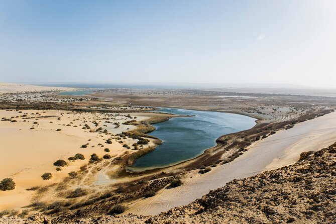 From Cairo: Desert Safari, Waterfalls, Sand boarding and Camel ride with Lunch - Sandboarding: fun on the way down, then back up
