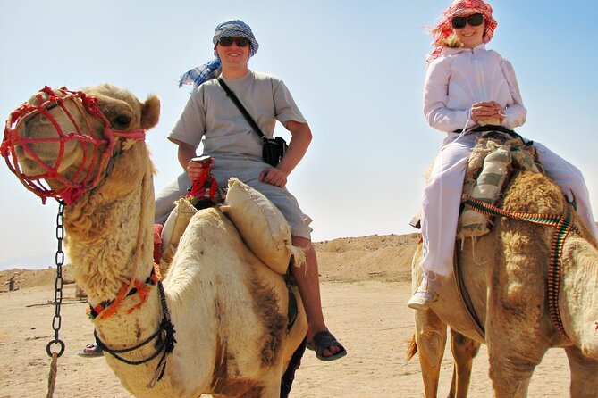 From Cairo: Desert Safari, Waterfalls, Sand boarding and Camel ride with Lunch - Bedouin camp BBQ lunch and tea: what the stop is really for