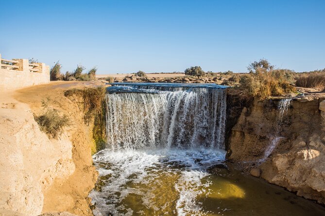 From Cairo: Desert Safari, Waterfalls, Sand boarding and Camel ride with Lunch - Who should book this Cairo desert safari