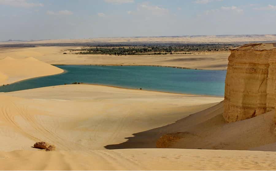 From Cairo: Full-Day Tour to El Fayoum - Cairo to Fayoum: the 7:00 AM pickup that actually gets you into the desert